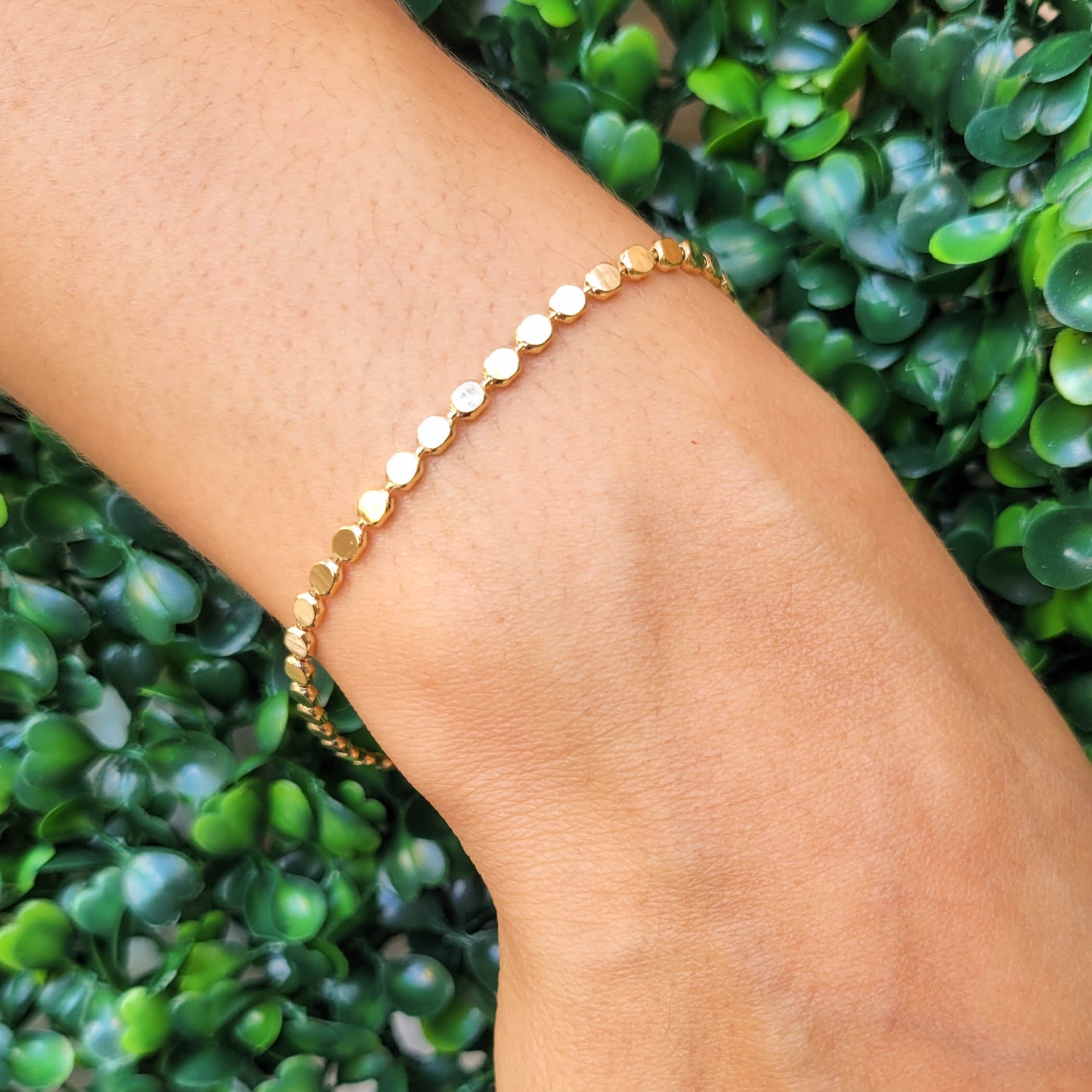 Doted Bracelet