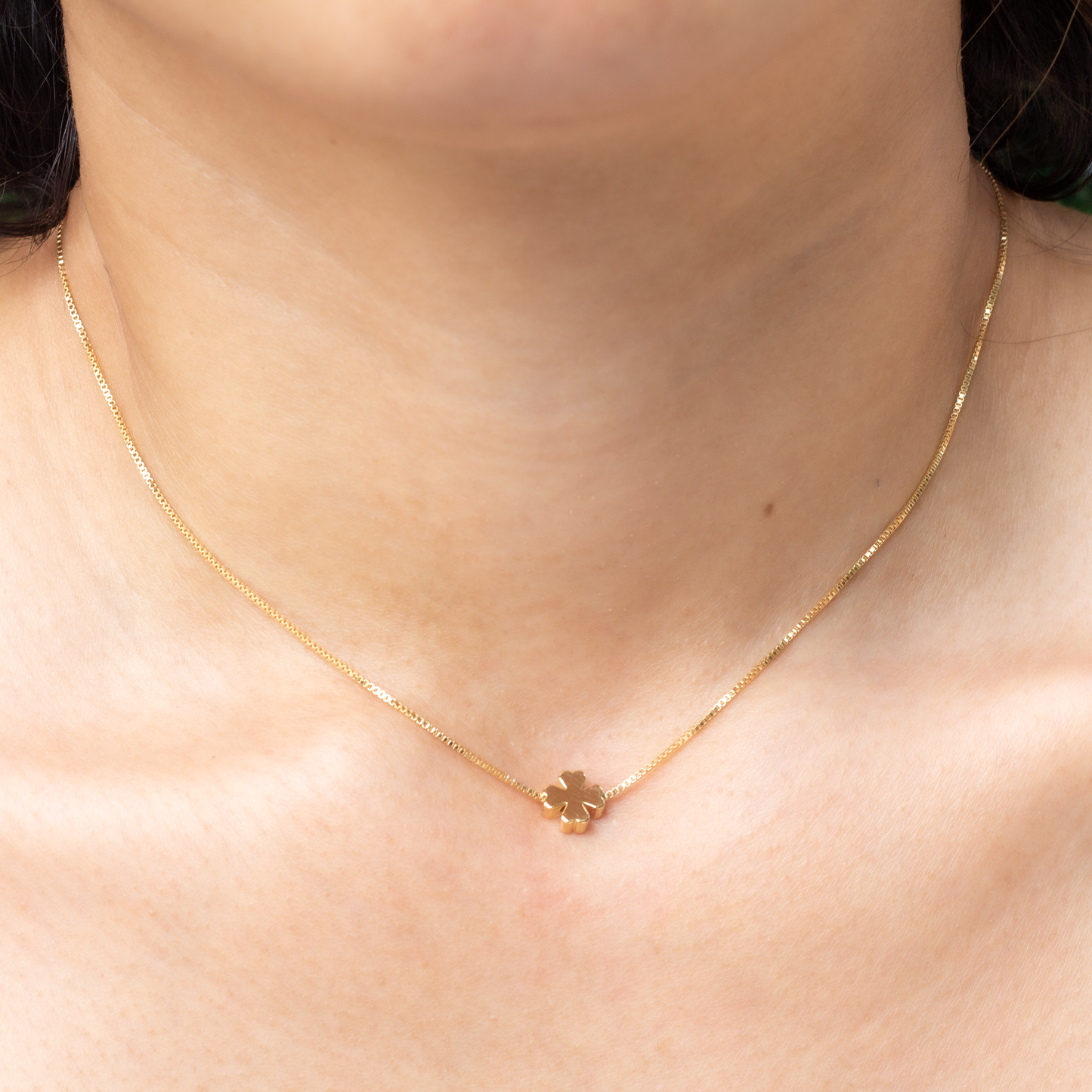 Dainty Box Clover Choker