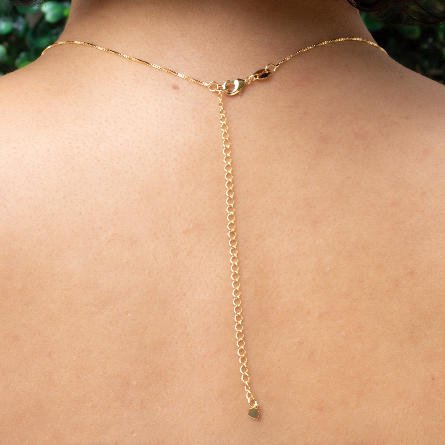 Dainty Box Clover Choker