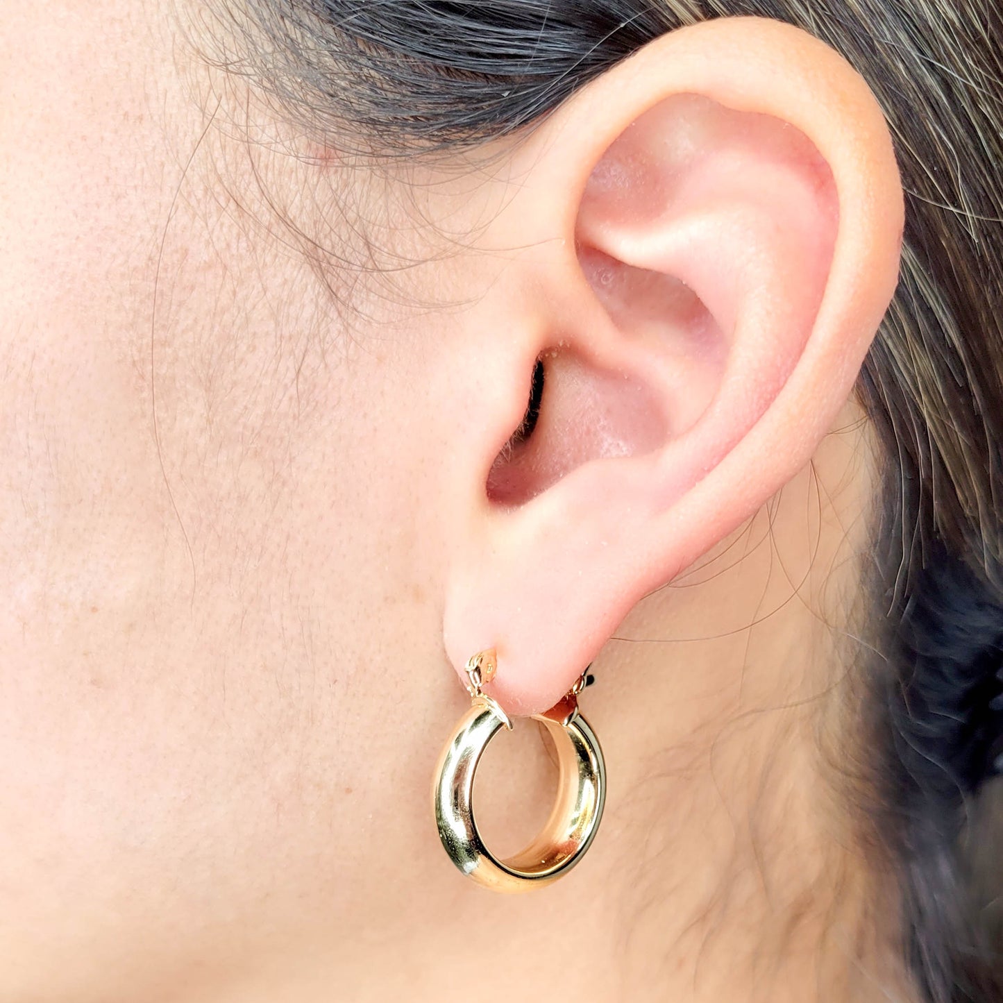 Plain Hoops Earrings