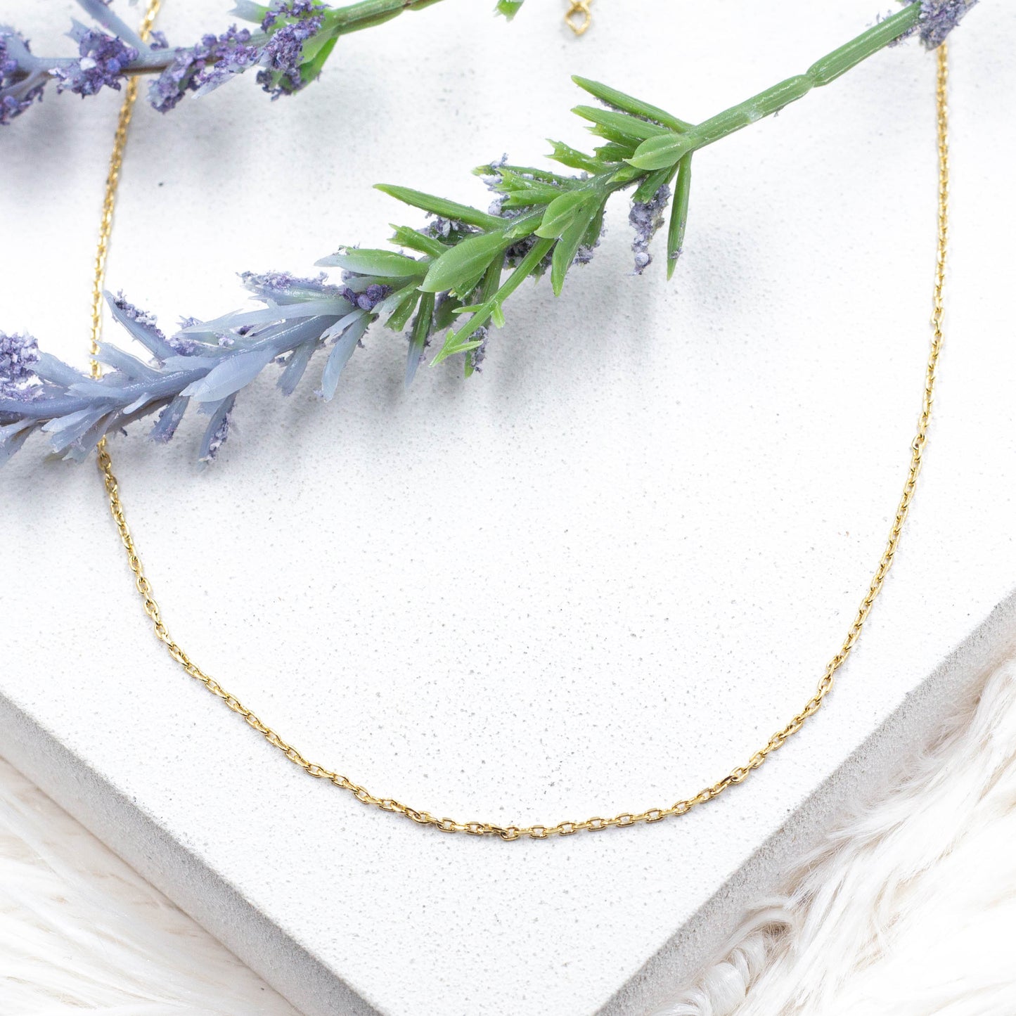 Dainty Rolo Chain Necklace