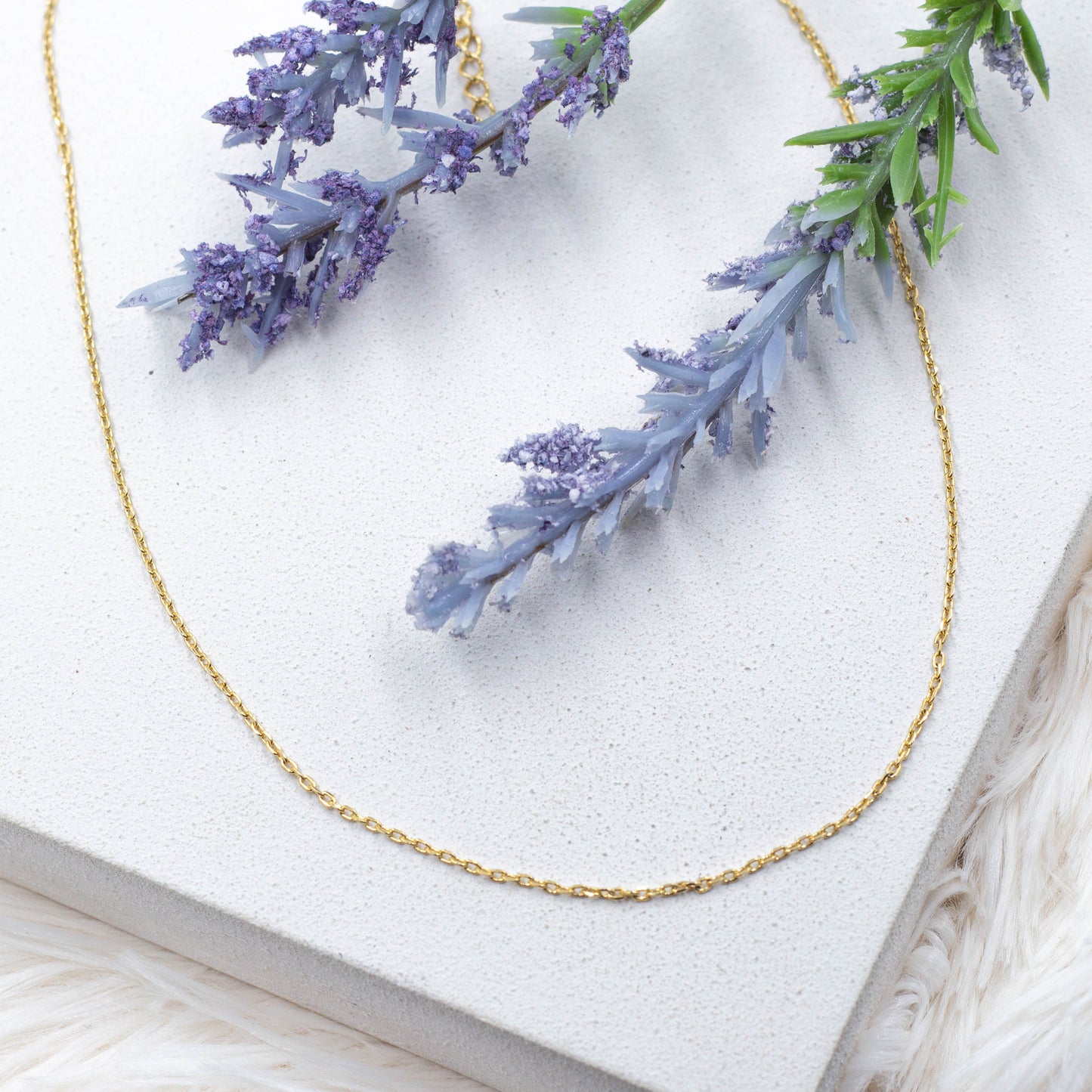 Dainty Rolo Chain Necklace