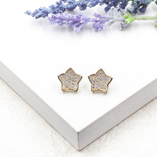 Zirconia Star Stud Earrings