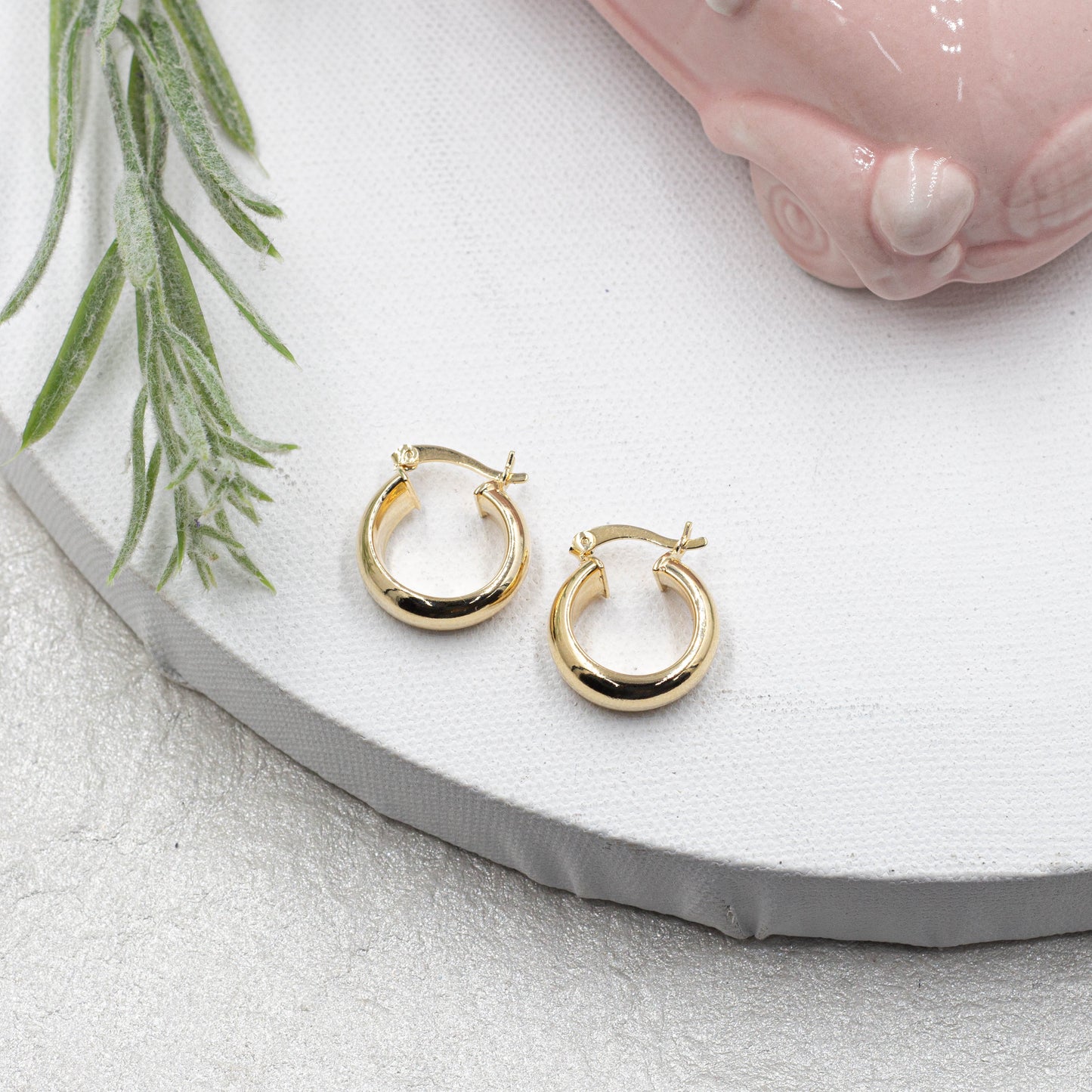 Plain Hoops Earrings