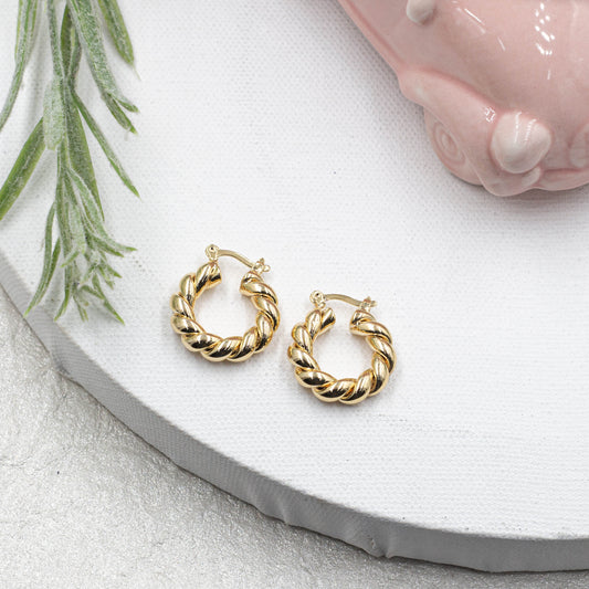 Twisted Hoops Earrings