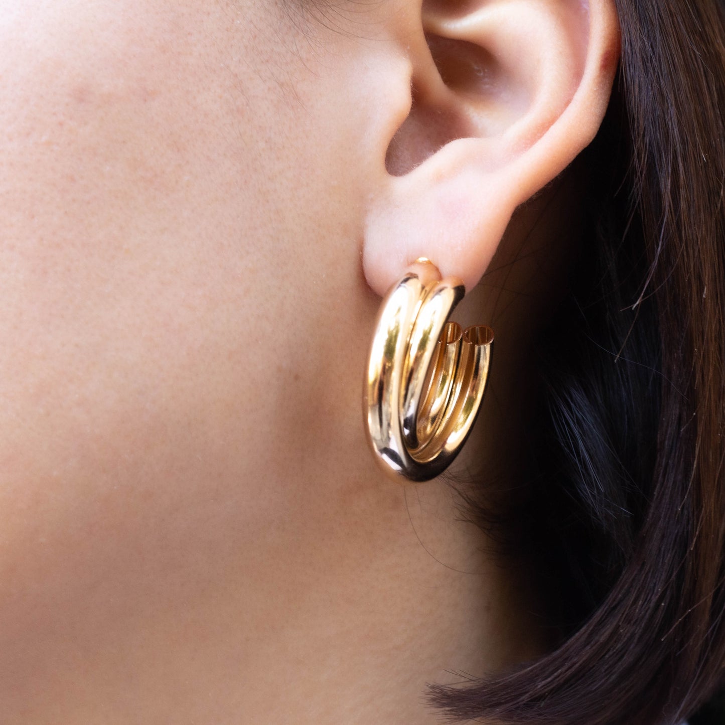 Double Hoops Earrings