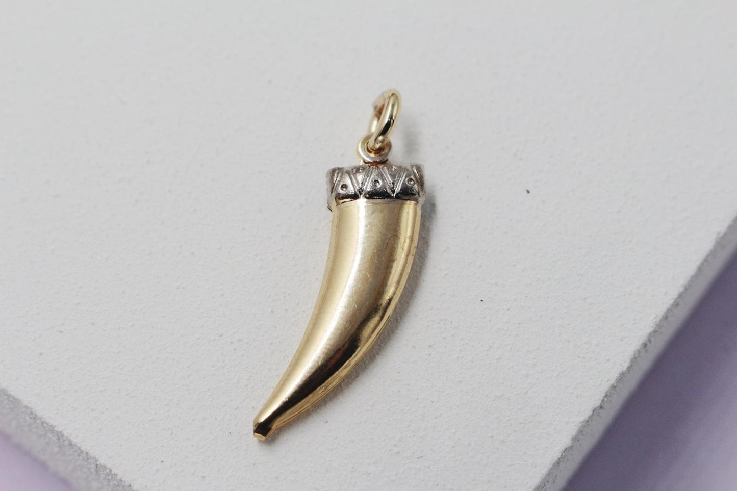 Tiger's Tooth Pendant