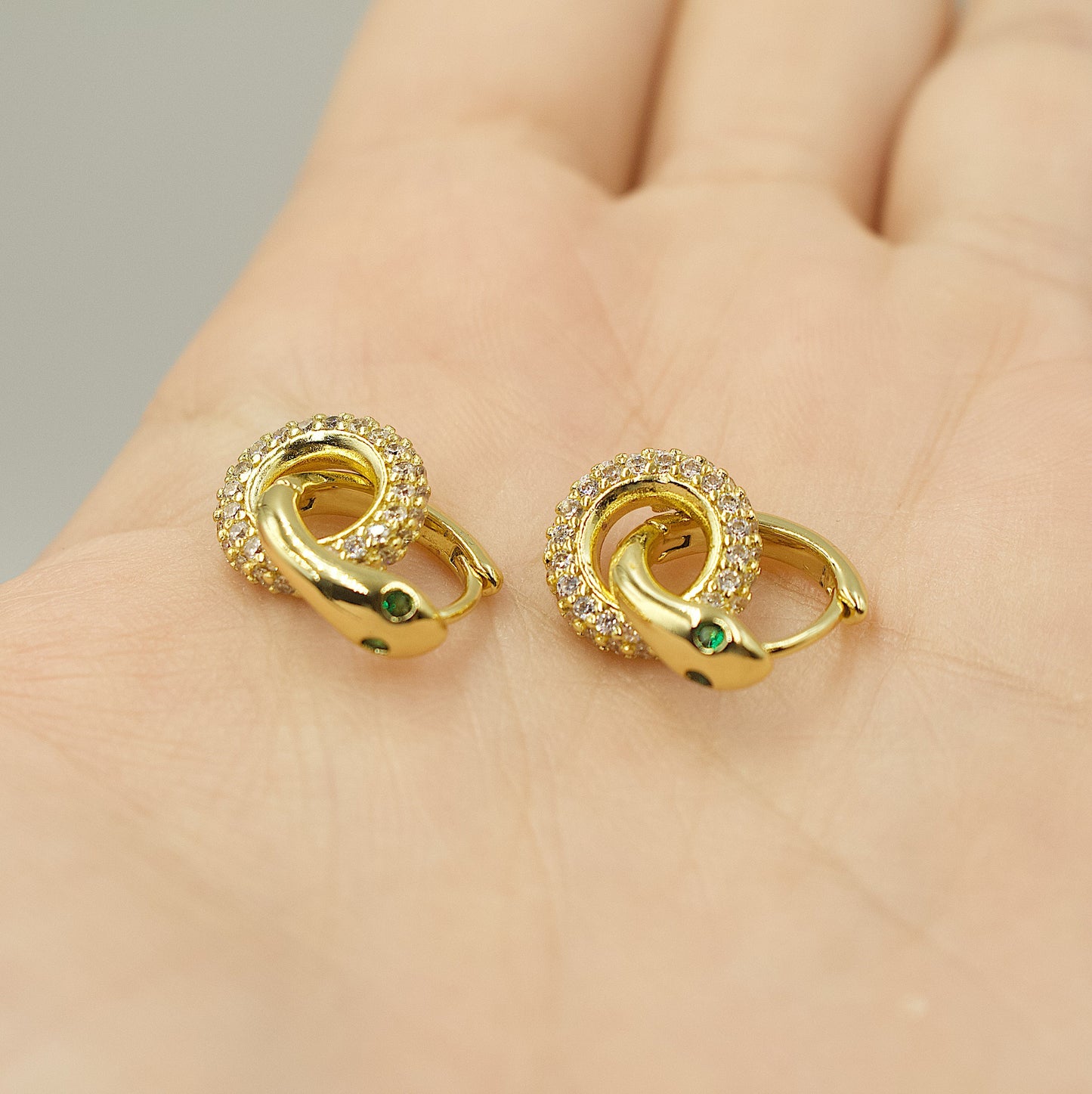 Snake With A Hanging Ring Of Shiny Stones Earrings